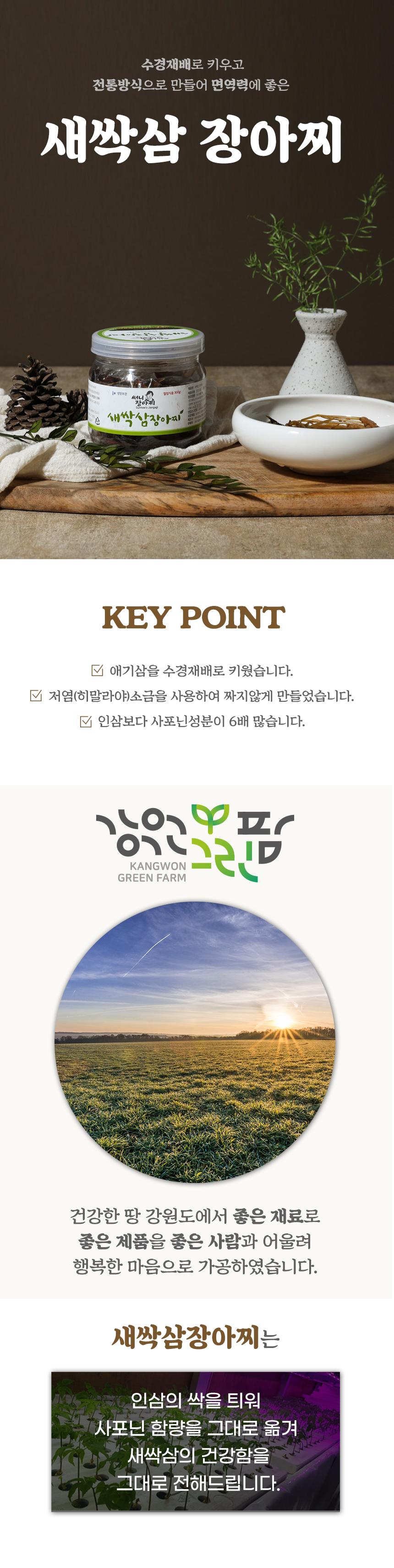 강원그린팜 새싹삼 장아찌 면역력에 좋은 새싹삼으로 담근 장아찌 전통방식 면역력에 좋은 장아찌 밥반찬 밥도둑